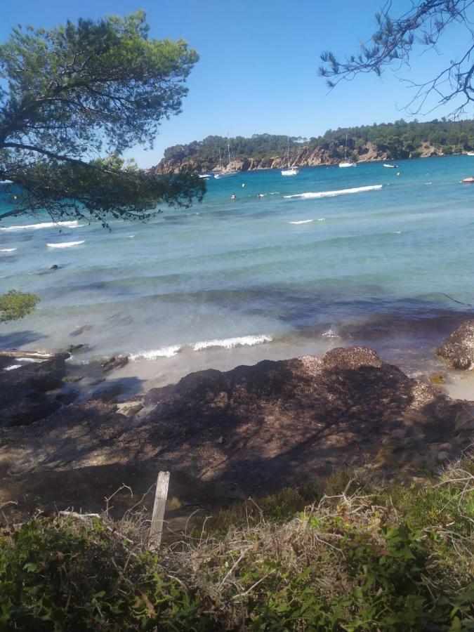Appartement " Le Grand Bleu " A 3 Min De La Plage La Londe-les-Maures Luaran gambar